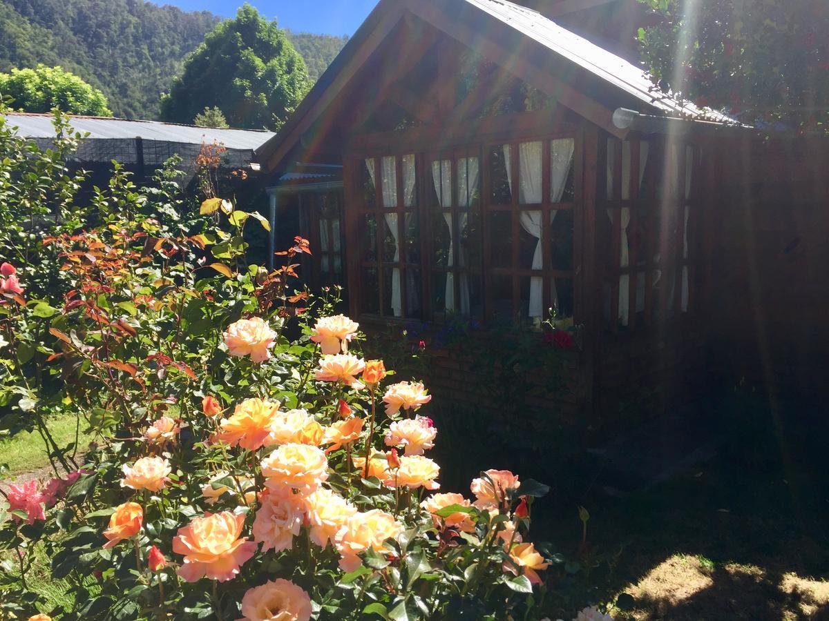 Tu Cabana San Martín de los Andes Exterior photo